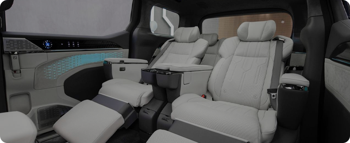 Elektrische stoelen en accessoires